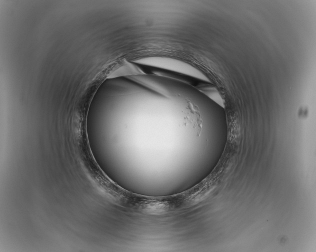 X0000090700456200708101446