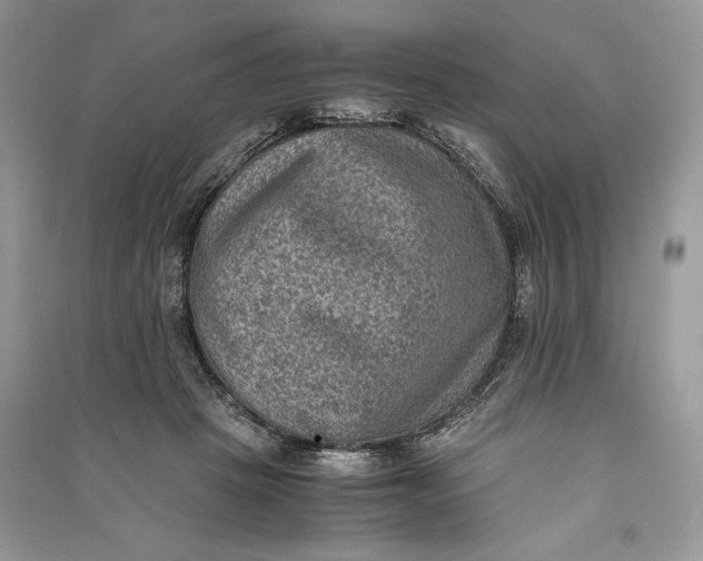 X0000090700457200708101446