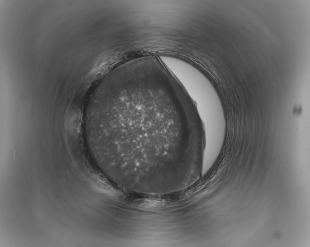 X0000090700458200708101446
