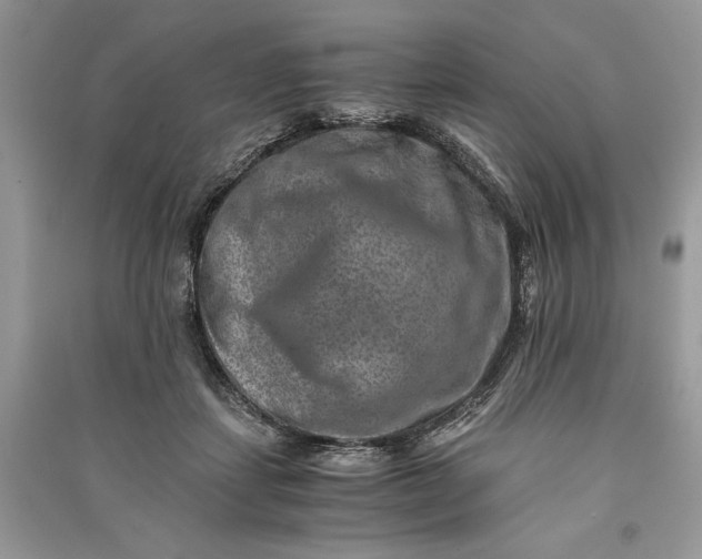 X0000090700459200708101446