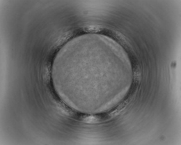 X0000090700460200708101446