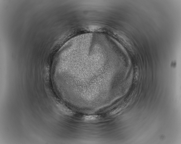 X0000090700461200708101446