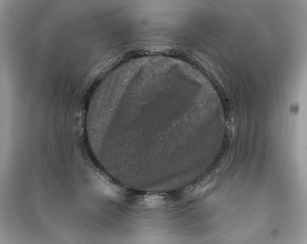 X0000090700462200708101446