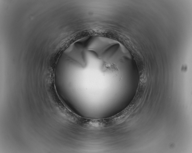 X0000090700464200708101446