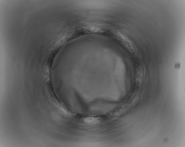 X0000090700465200708101446