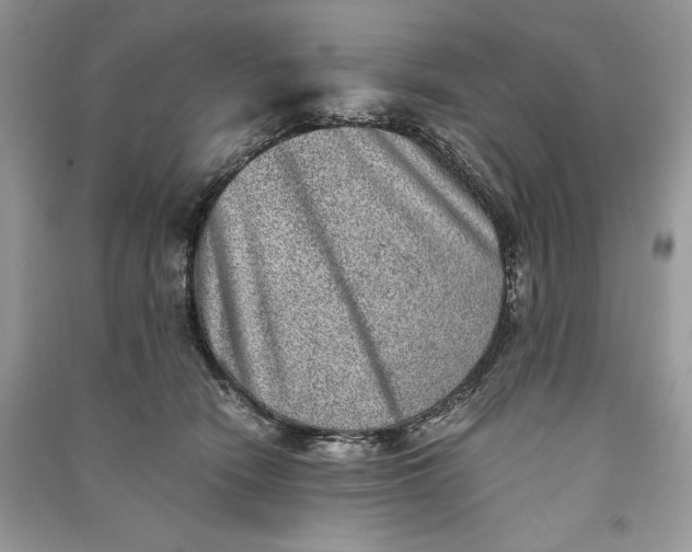 X0000090700466200708101446