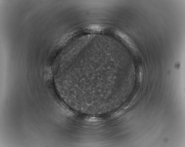 X0000090700467200708101446
