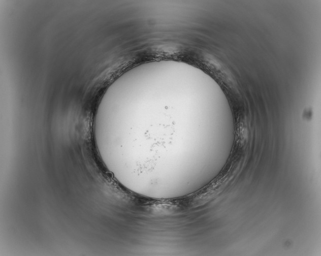 X0000090700468200708101446