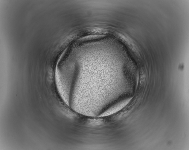 X0000090700469200708101446