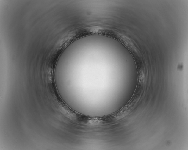 X0000090700470200708101446
