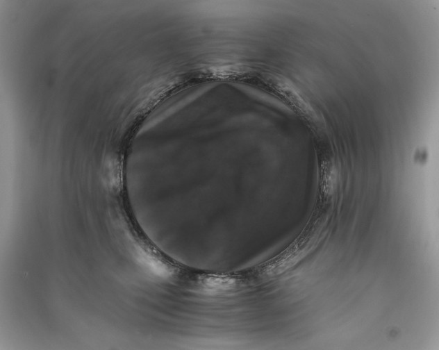 X0000090700471200708101446