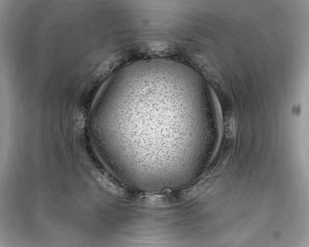 X0000090700472200708101446