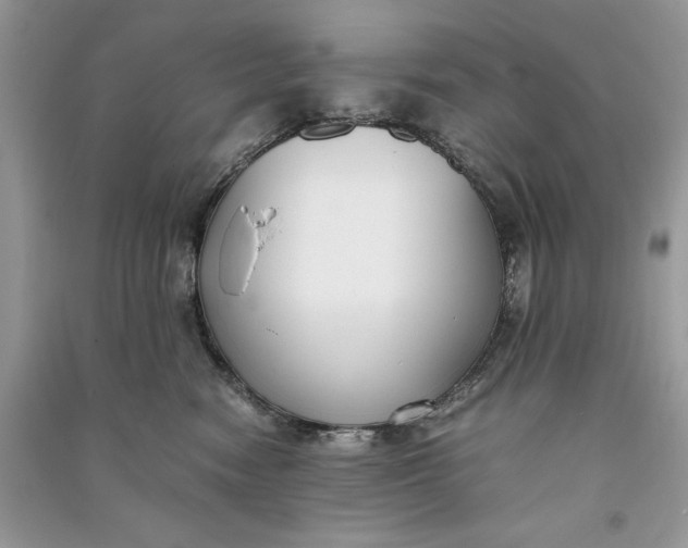 X0000090700474200708101446