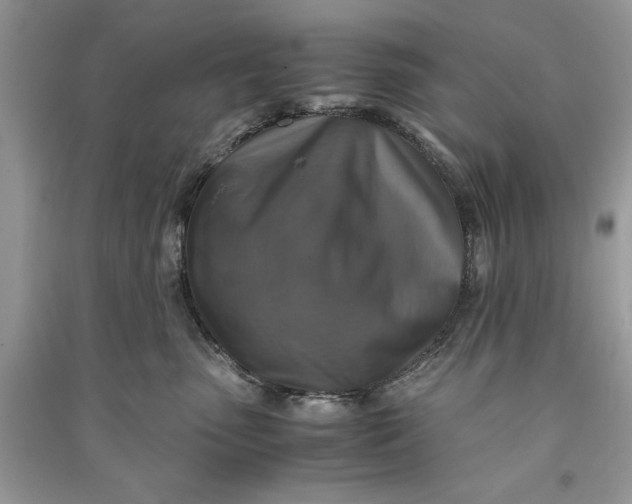 X0000090700475200708101446