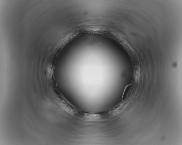 X0000090700476200708101446