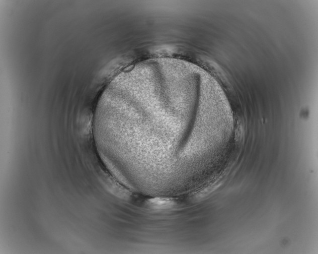 X0000090700477200708101446