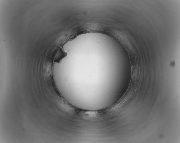 X0000090700478200708101446