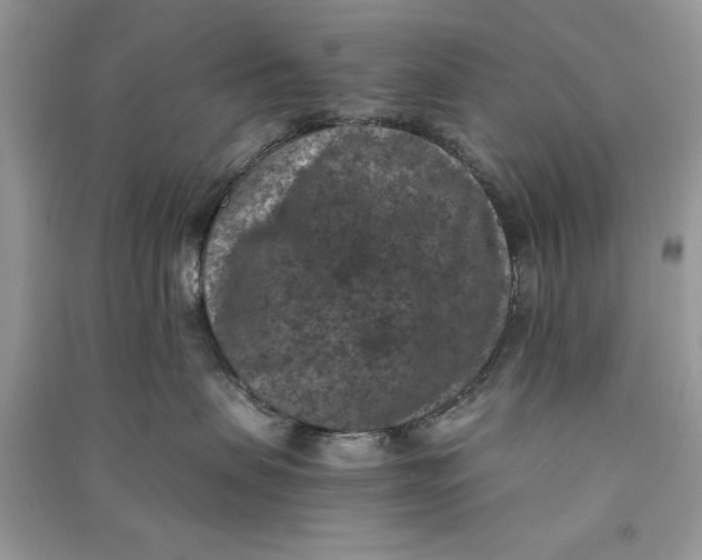 X0000090700479200708101446