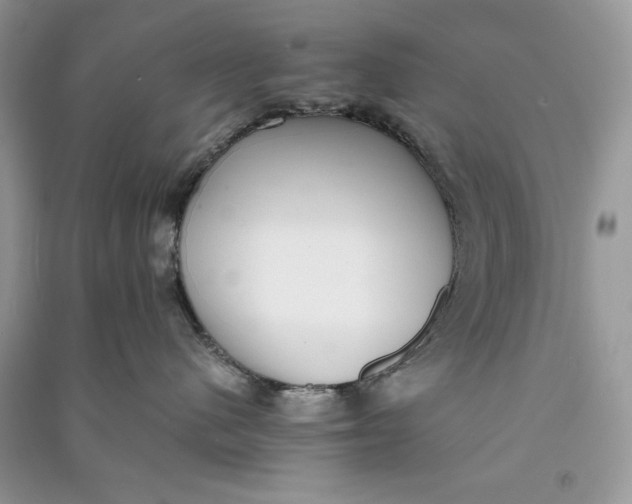 X0000090700480200708101446