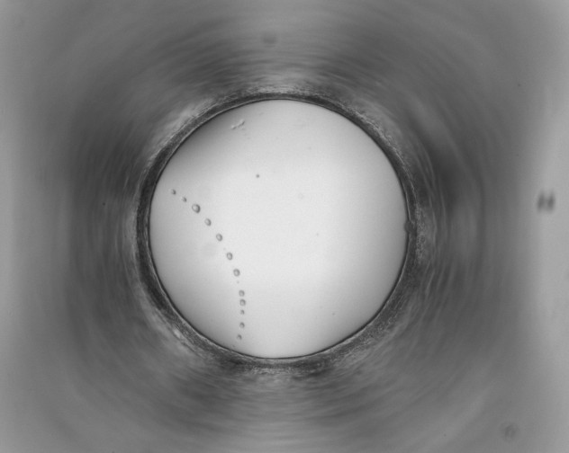 X0000090700482200708101445