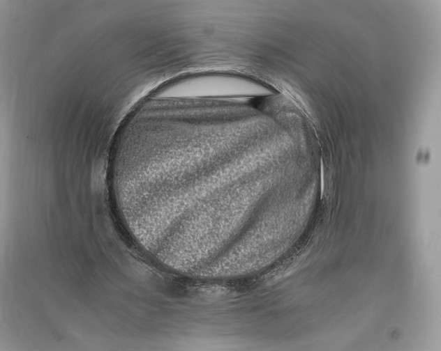 X0000090700483200708101445