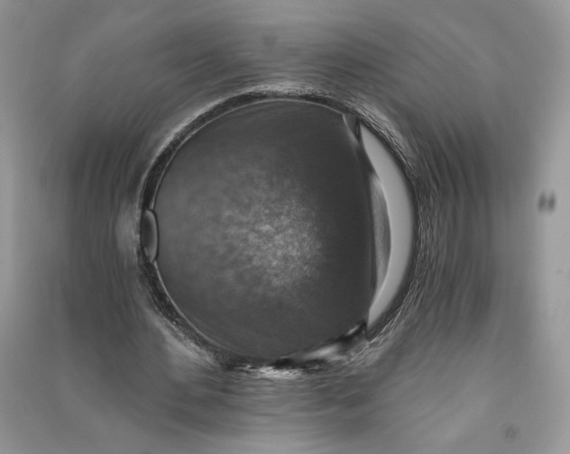 X0000090700484200708101445