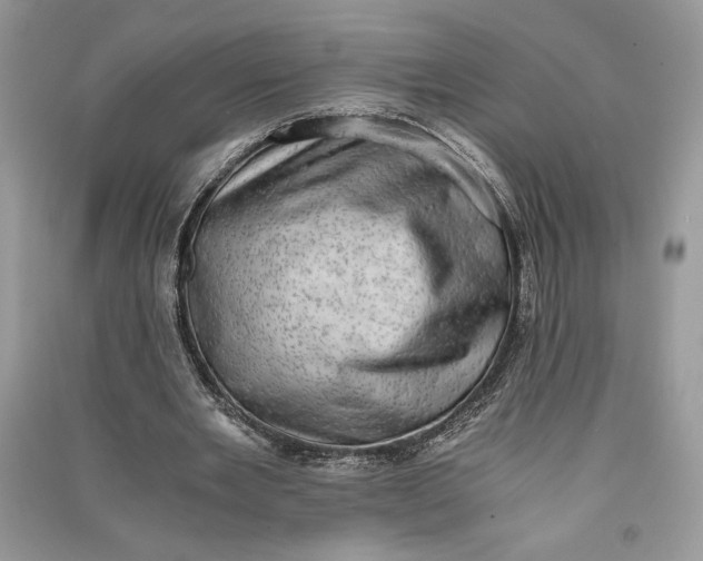 X0000090700485200708101445