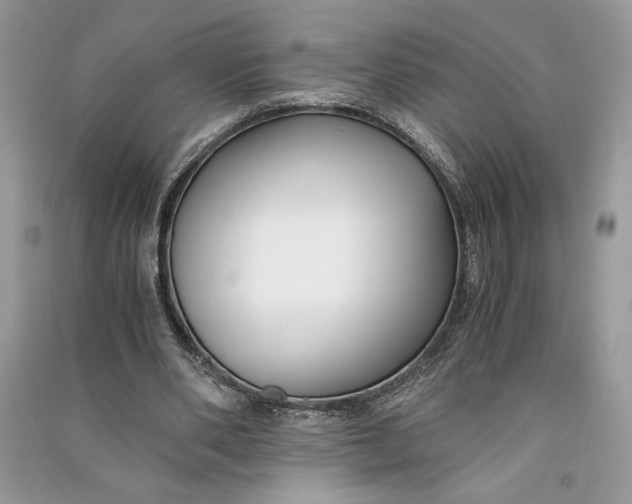 X0000090700486200708101445