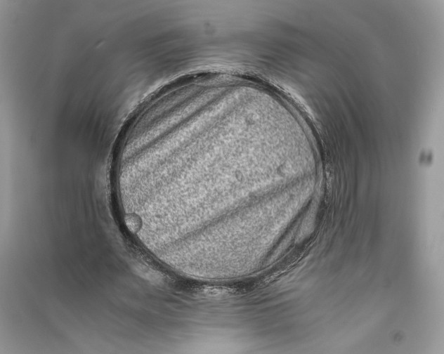 X0000090700487200708101445