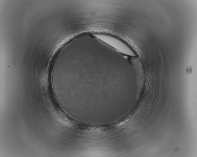 X0000090700488200708101445