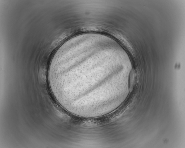 X0000090700489200708101445