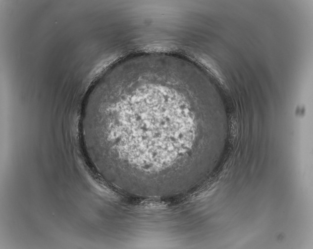 X0000090700491200708101445