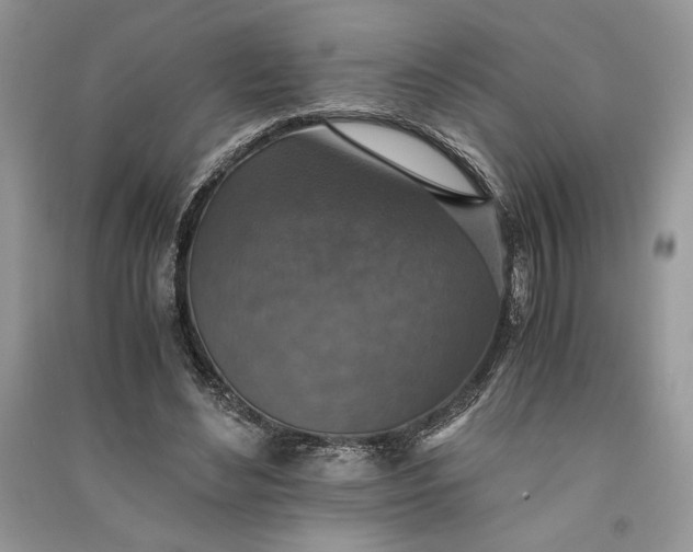 X0000090700492200708101445