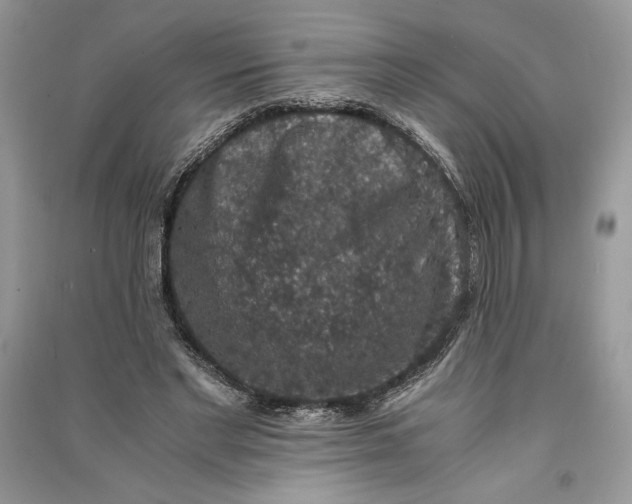 X0000090700493200708101445
