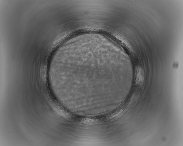X0000090700494200708101445