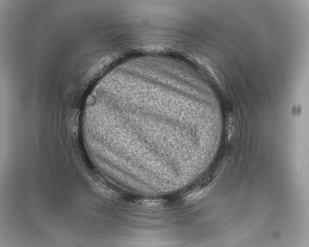 X0000090700495200708101445