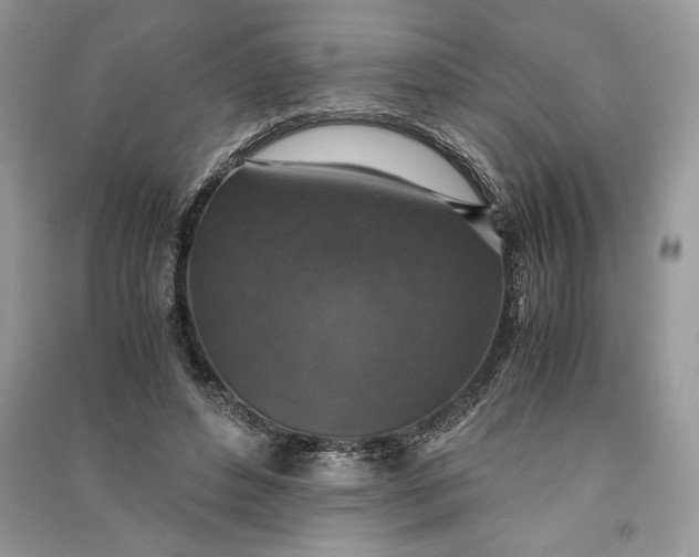 X0000090700496200708101445