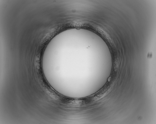 X0000090700497200708101445