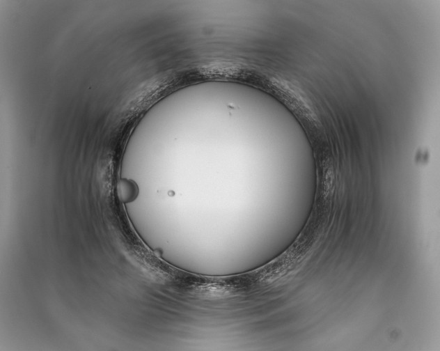 X0000090700498200708101445