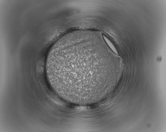X0000090700499200708101445