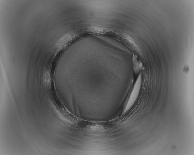 X0000090700500200708101445