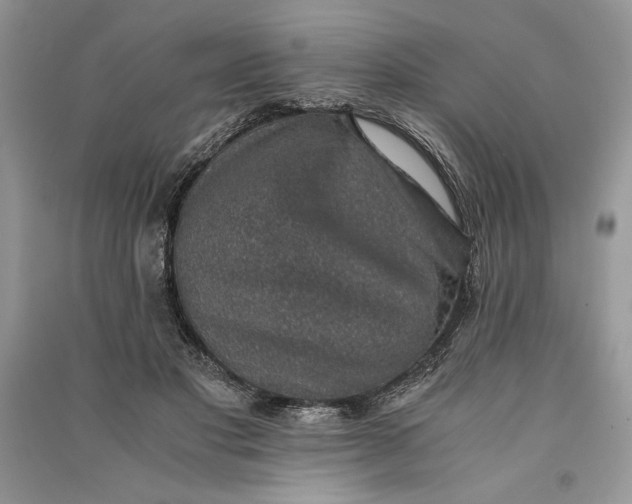 X0000090700501200708101445