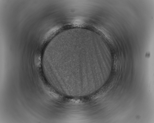 X0000090700502200708101445