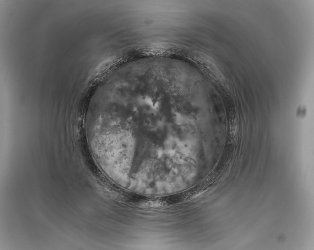 X0000090700503200708101445