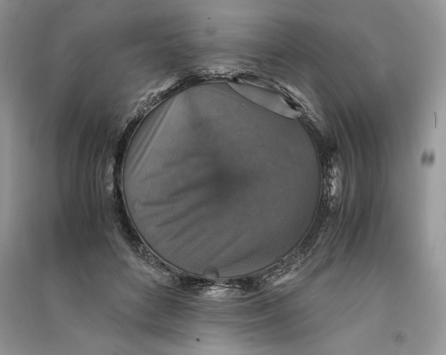 X0000090700504200708101445
