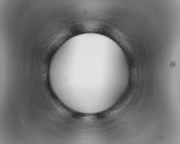 X0000090700505200708101445