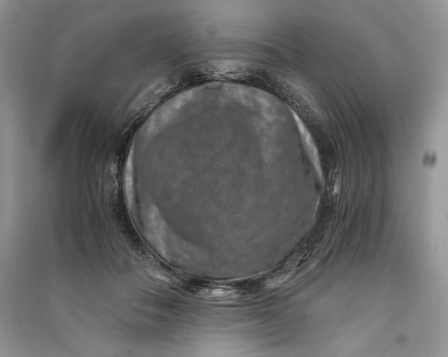 X0000090700506200708101445