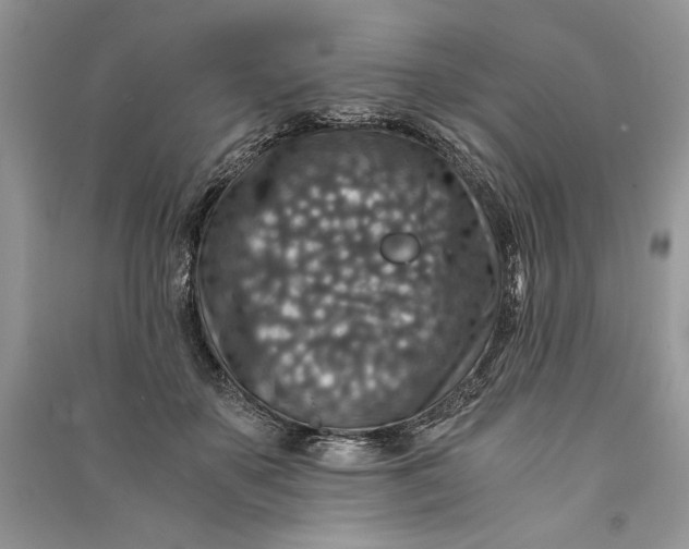 X0000090700507200708101445
