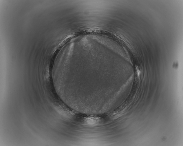 X0000090700508200708101445