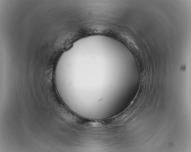 X0000090700509200708101445